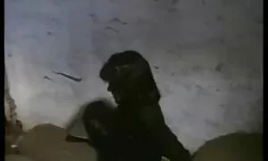تمایل به فیلم سکس سگ ها رابطه جنسی